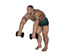 Anterior Raise - Dumbbell Alternate